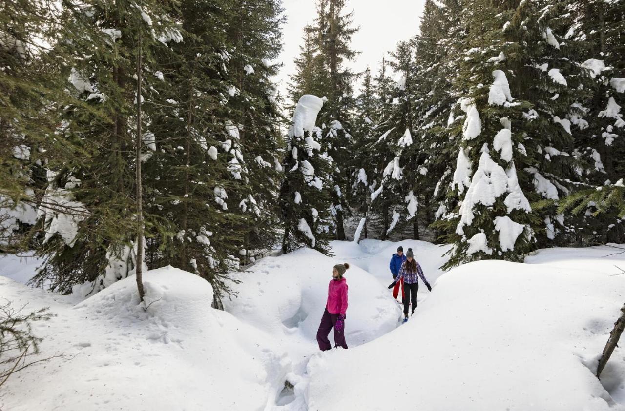 Soleil Chalet By Bear Country Sun Peaks Extérieur photo