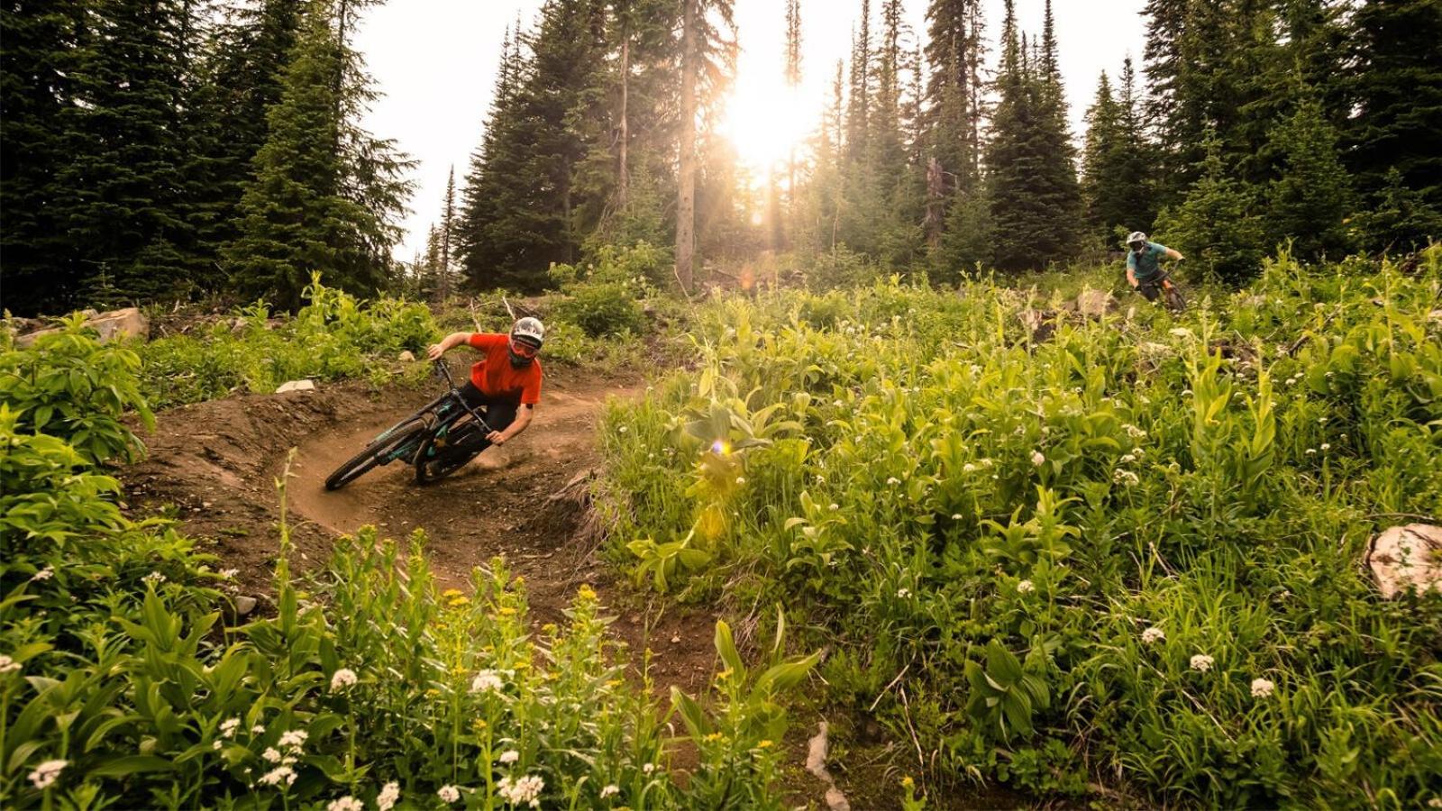 Soleil Chalet By Bear Country Sun Peaks Chambre photo